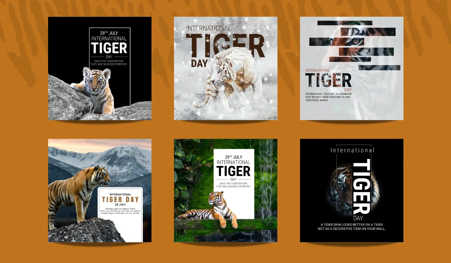 International Tiger Day 2024 Quotes, Wishes And Posters By Postive Festival Post Maker App