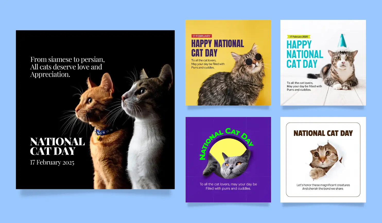 National Cat Day 2025: Theme, Activities, Wishes, & Celebration Ideas