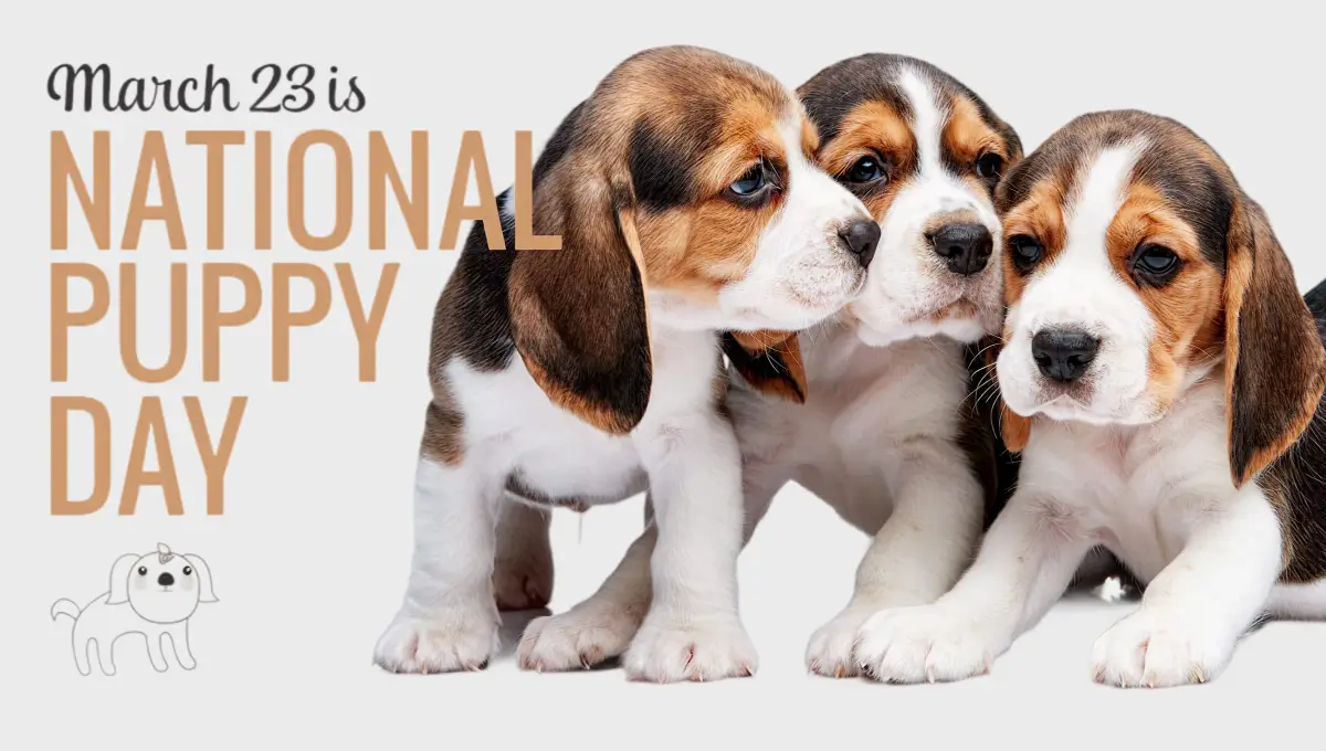 National Puppy Day (23 March 2026): Date, History, Significance, Facts, Activities, Wishes, Messages, Quotes & Poster