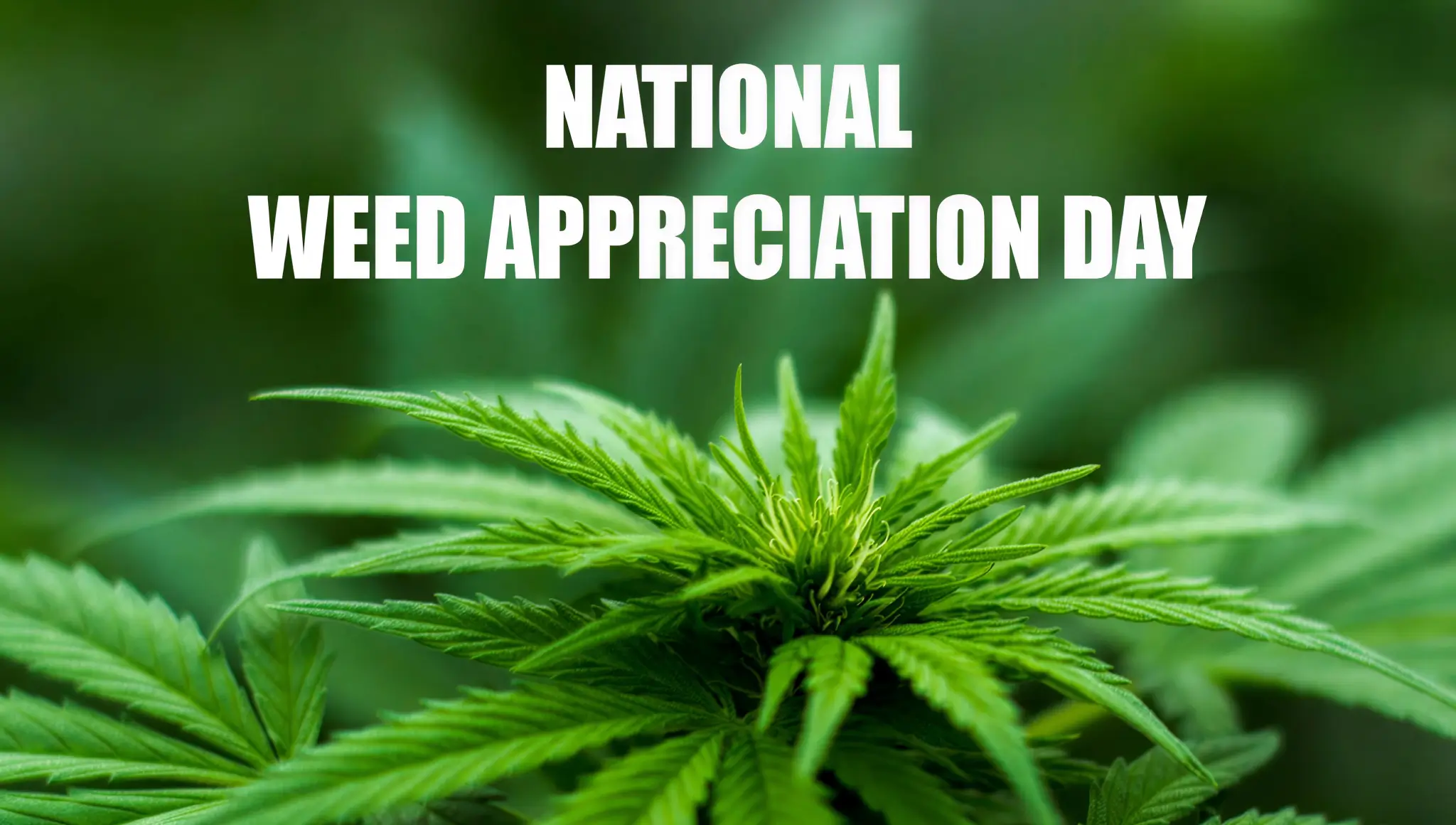 National Weed Appreciation Day (28 March 2026): Date, Meaning, Benefits, Activities, Facts, Wishes & More