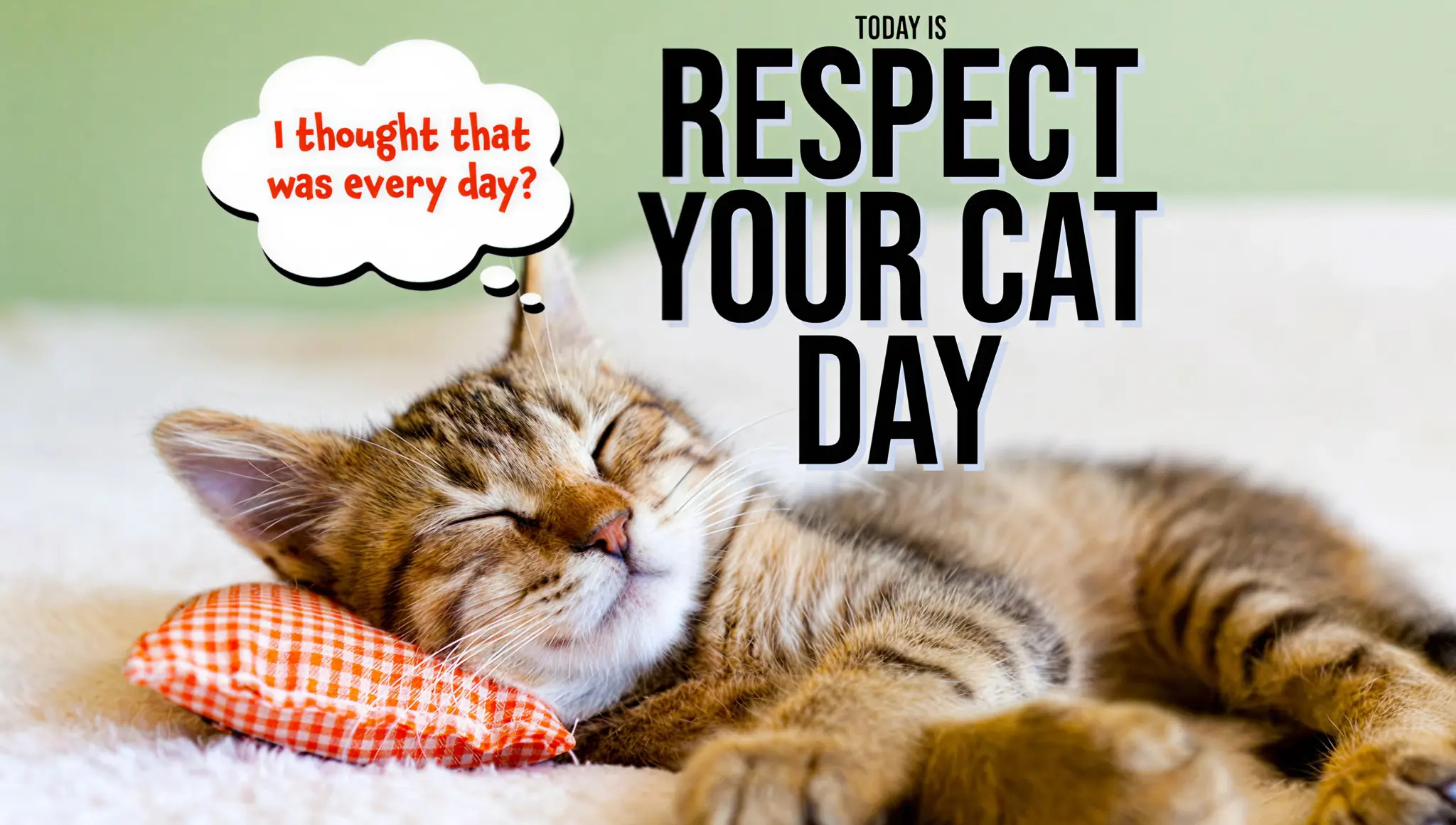 Respect Your Cat Day 2026 (28 March): Date, Meaning, Ways to Celebrate, Wishes & More