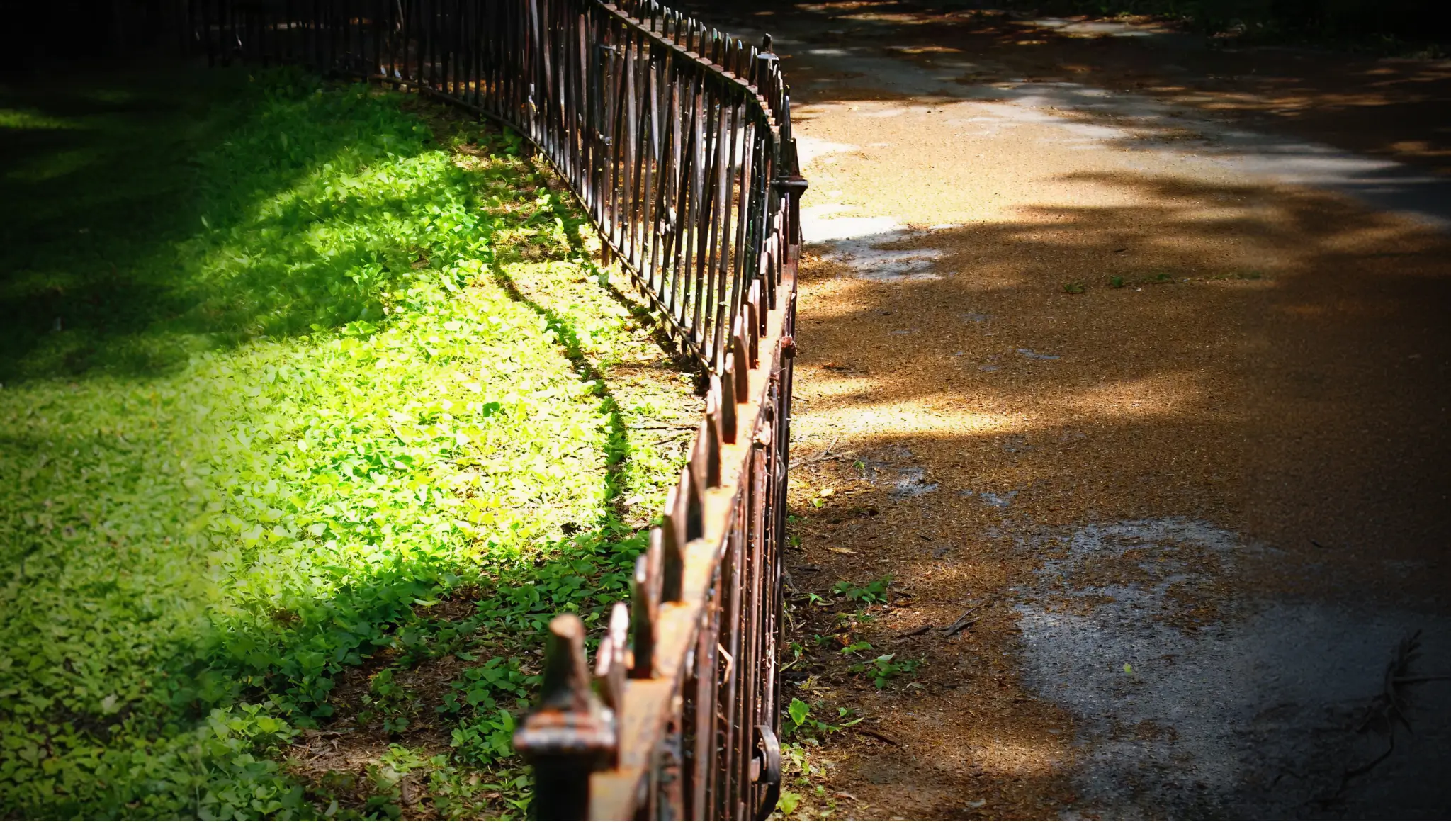 The Grass is Always Browner on the Other Side of the Fence Day 2026 (30 March): Date, History, Significance, Facts & More