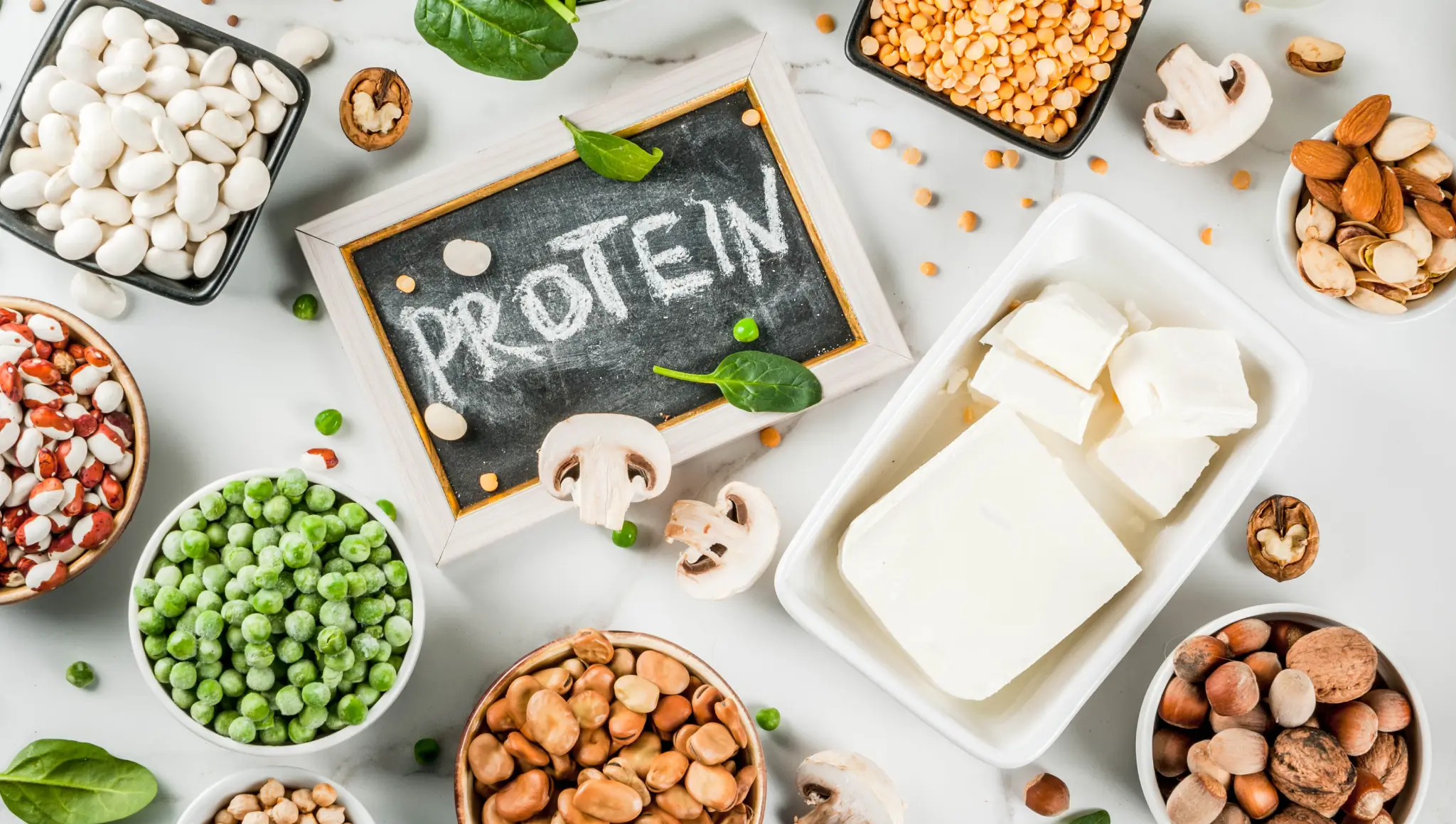 World Protein Day 2026 (27 February): Date, Importance, Health Benefits & Smart Protein Choices