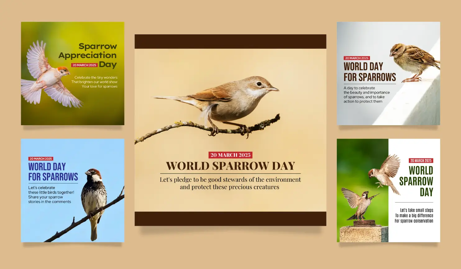    World Sparrow Day 2025: Date, Theme, Celebration & Posters 