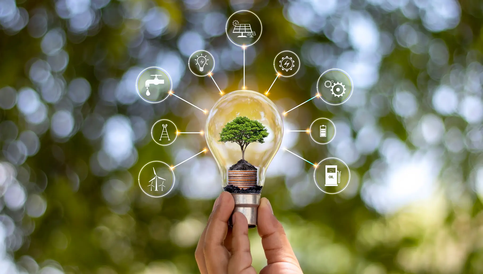 World Sustainable Energy Day 2026 (14 February): Date, History, Significance & Path to a Greener Future